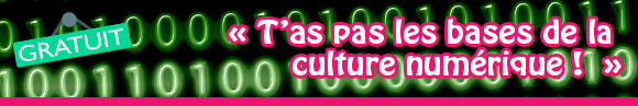 culture numérique