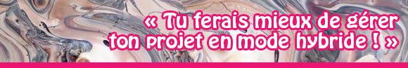 projet hybride