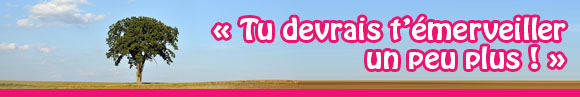 émerveillement